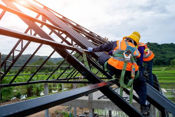 Best Metal Roofing Contractor  in Holland, MI