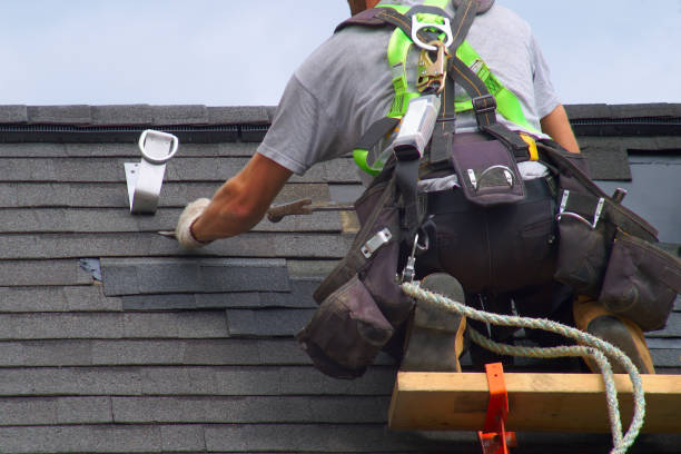 Best Shingle Roofing Installation  in Holland, MI
