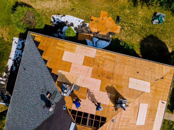 Best New Roof Installation  in Holland, MI