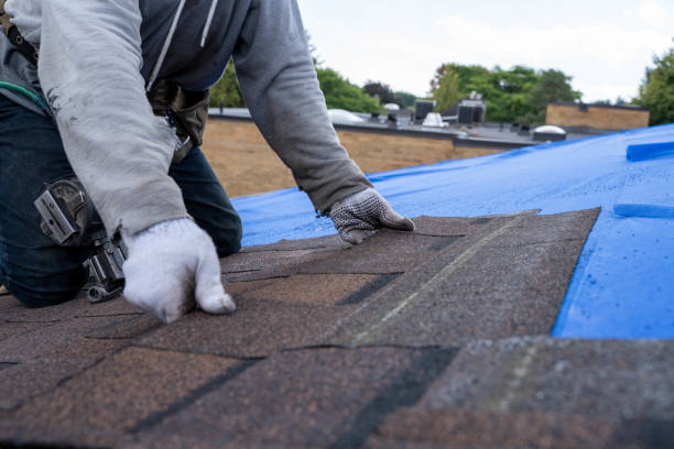 Trusted Holland, MI Roofing Contractor Experts