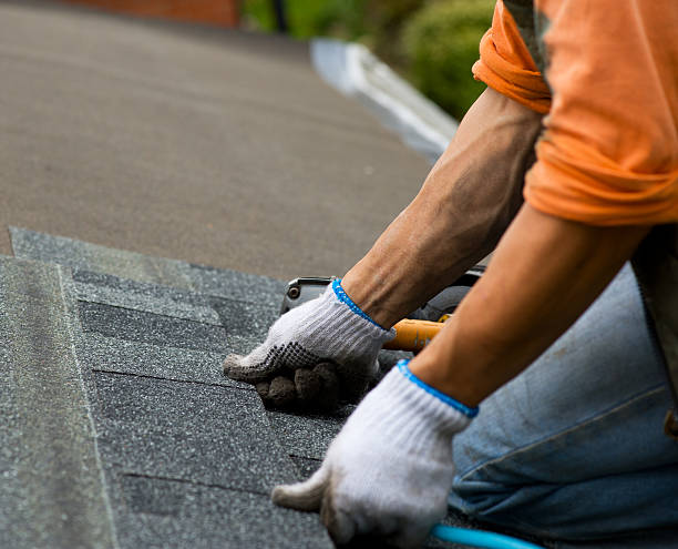 Best Commercial Roofing Services  in Holland, MI